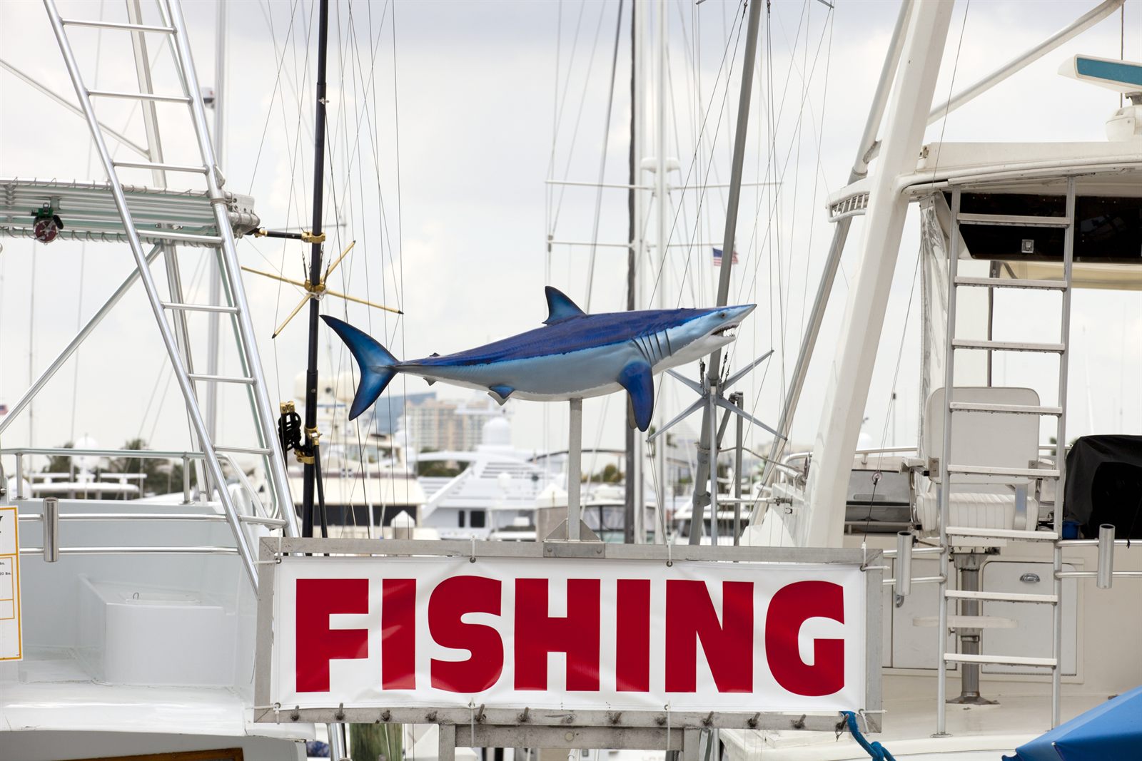 A red and white Fishing sign on a charter boat with a model of a mako shark mounted above it at a marina