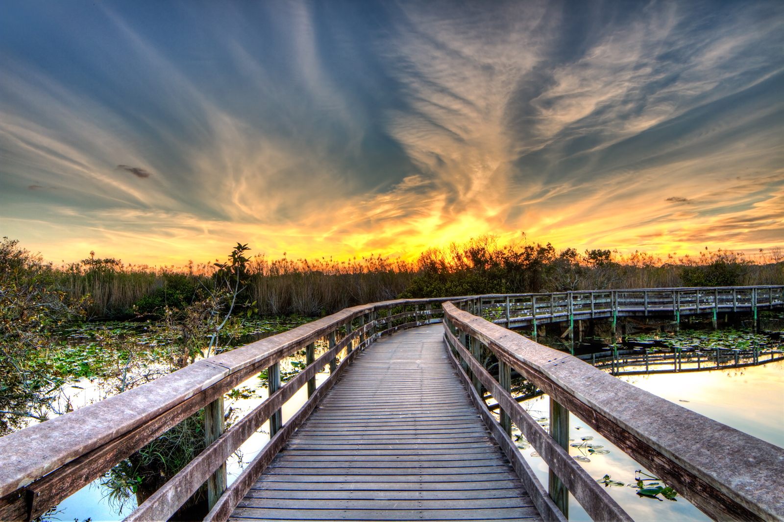 A wooden boardwalk crossing a freshwater marsh under a dramatic sunset sky